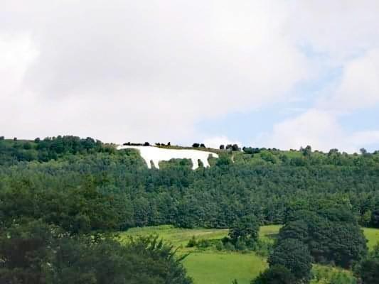 Grange Farm Lodge Ripon Luaran gambar